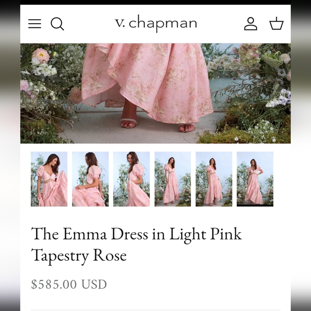 V. Chapman Pink High-Low Gown Plunge Neckline - Picture 4 of 11